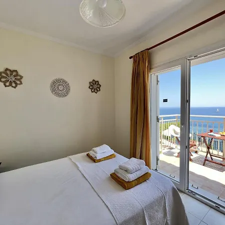 Seagull Skala (Kefalonia)