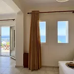 Seagull
