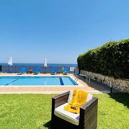 Seagull * Skala (Kefalonia)