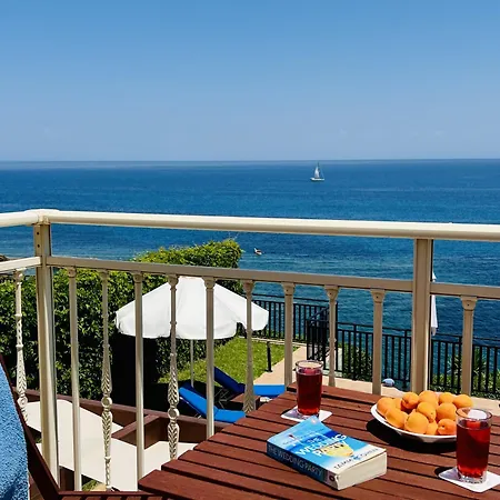 Seagull Skala (Kefalonia)