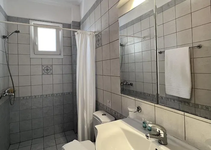 Seagull Skala (Kefalonia)